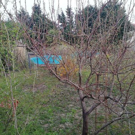 Apartament Camomilla Rawenna Zewnętrze zdjęcie