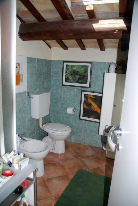 Apartament Camomilla Rawenna Zewnętrze zdjęcie